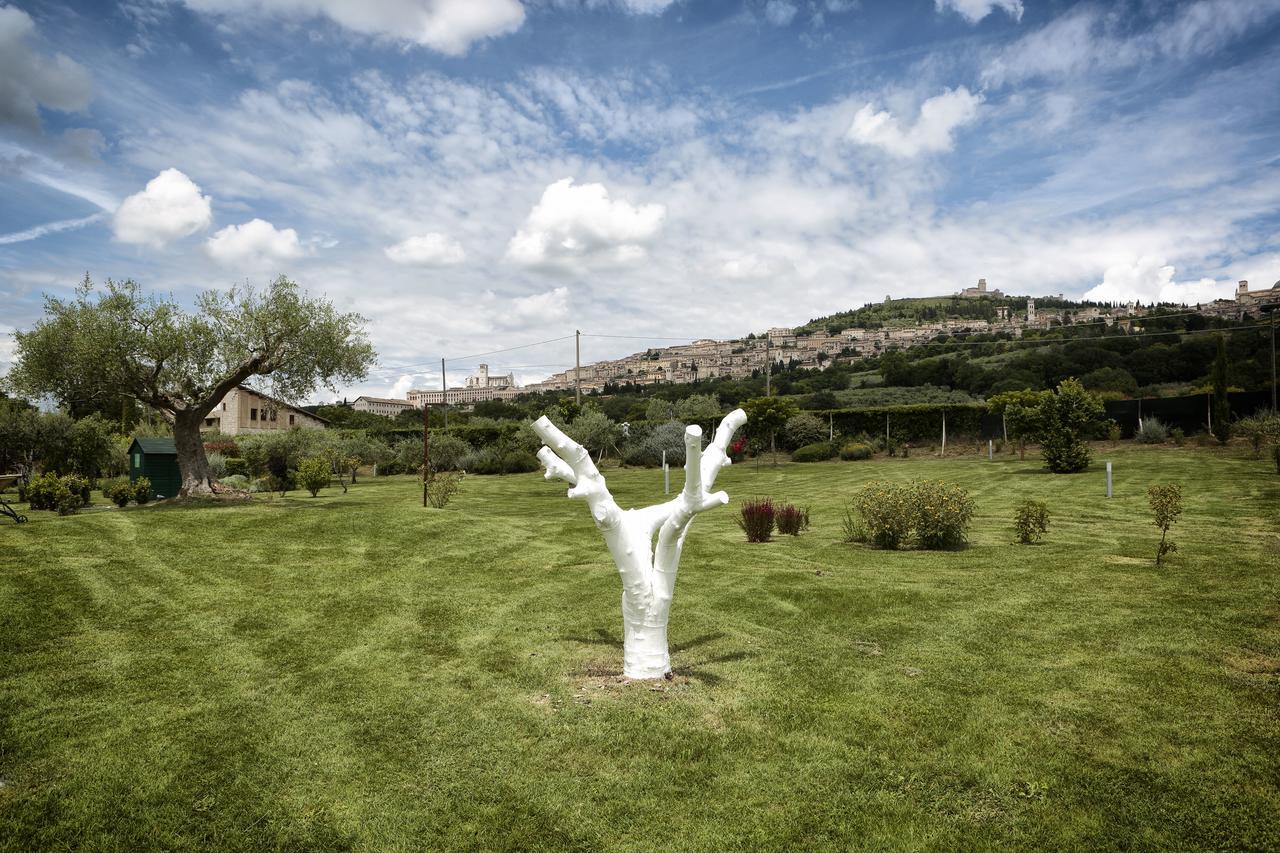 Tenuta San Masseo - Boutique Farm Resort & Spa Asís Exterior foto